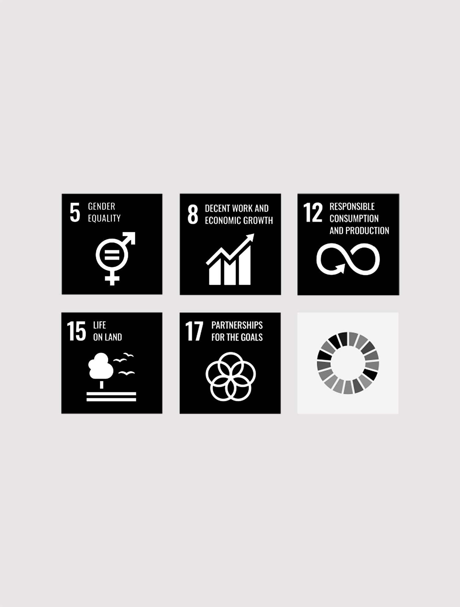 Our commitment to the Sustainable Development Goals